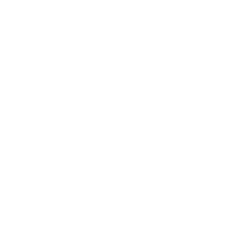 RAWR Games
